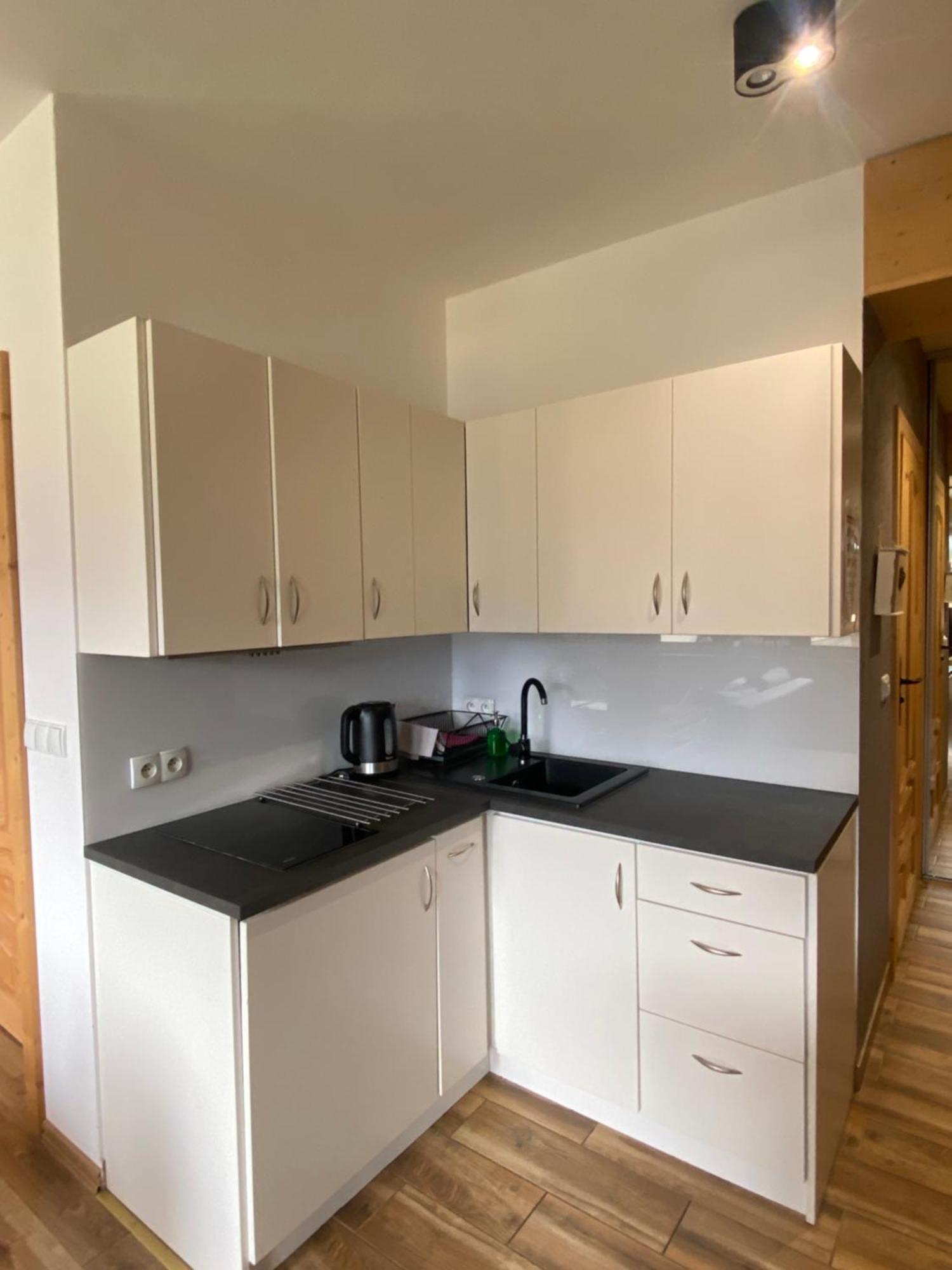 Apartament Siwa Skała Kościelisko Zewnętrze zdjęcie